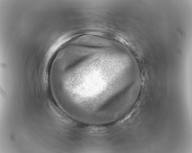 X0000090880343200708101348