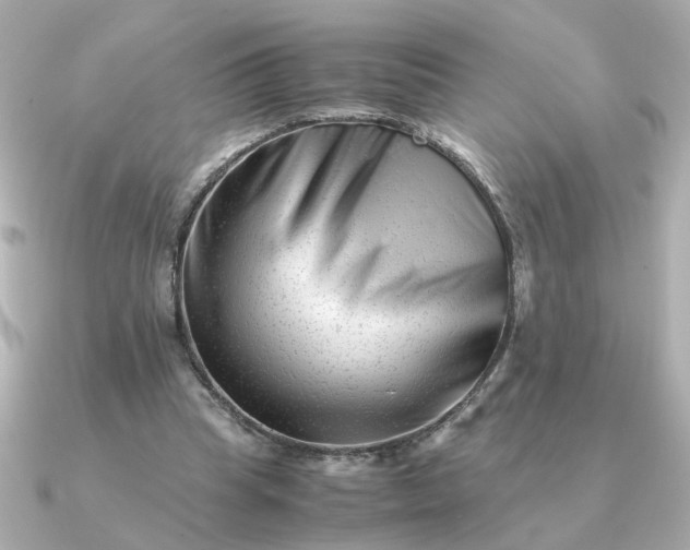 X0000090880345200708101348