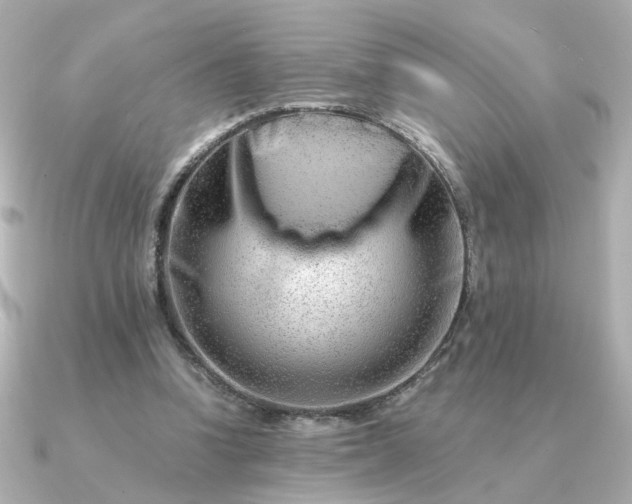 X0000090880346200708101348