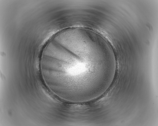 X0000090880347200708101348