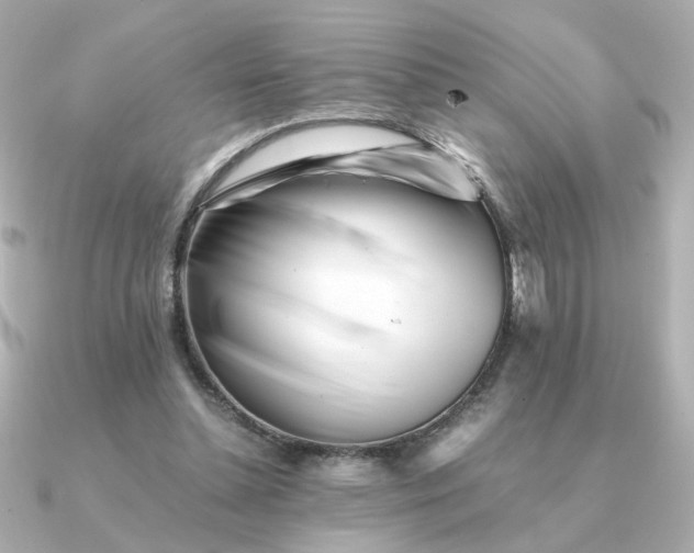 X0000090880348200708101348