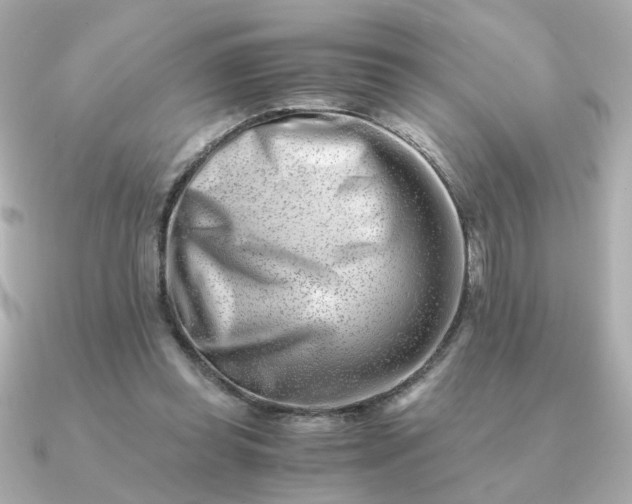 X0000090880349200708101348