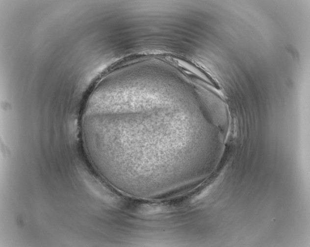 X0000090880351200708101348