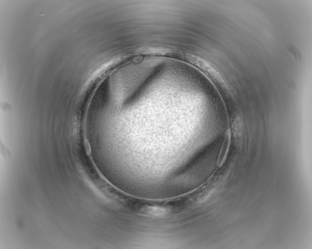 X0000090880352200708101348