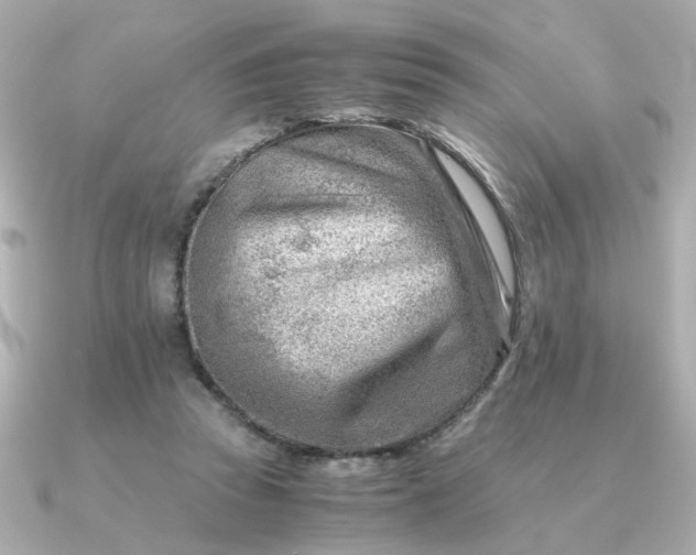 X0000090880353200708101348