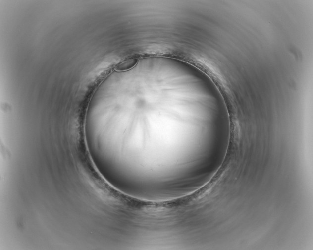 X0000090880354200708101348