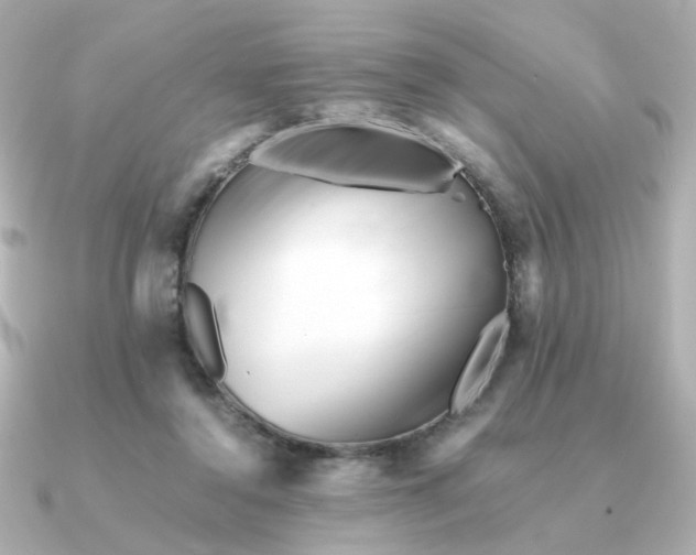 X0000090880356200708101348