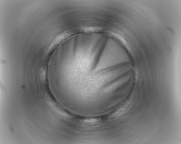 X0000090880357200708101348