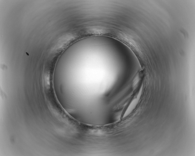 X0000090880358200708101348