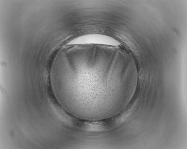 X0000090880359200708101349