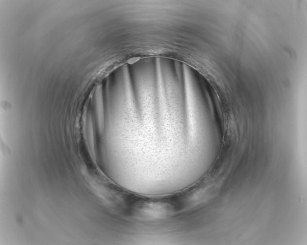 X0000090880360200708101349