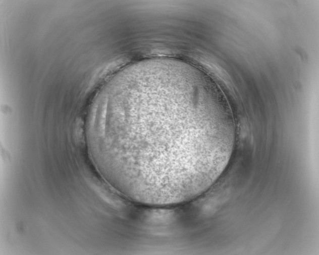 X0000090880361200708101349