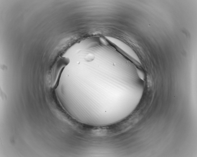 X0000090880362200708101349