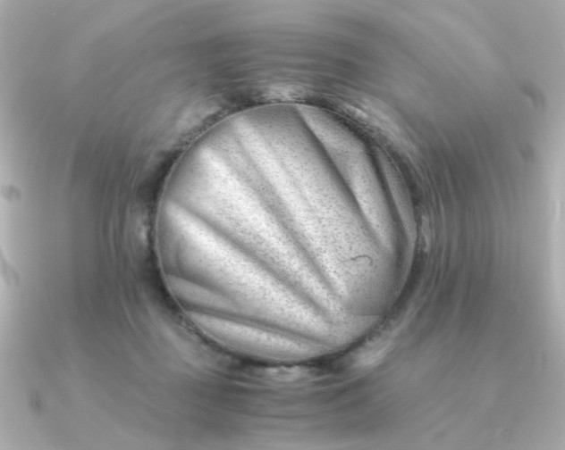 X0000090880363200708101349