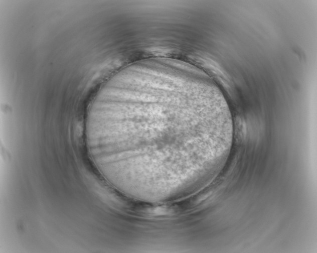 X0000090880365200708101349