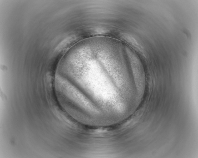 X0000090880366200708101349