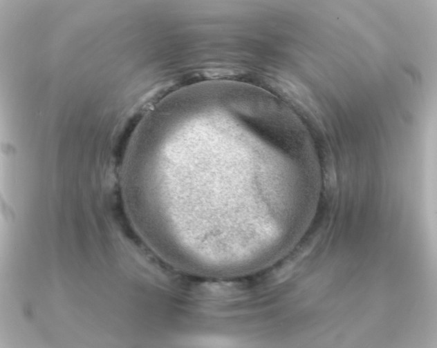 X0000090880367200708101349