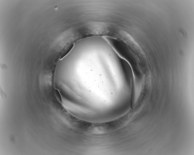 X0000090880368200708101349