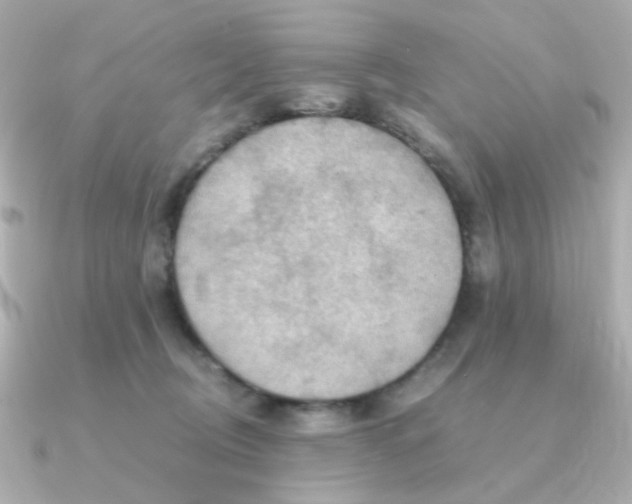 X0000090880370200708101349