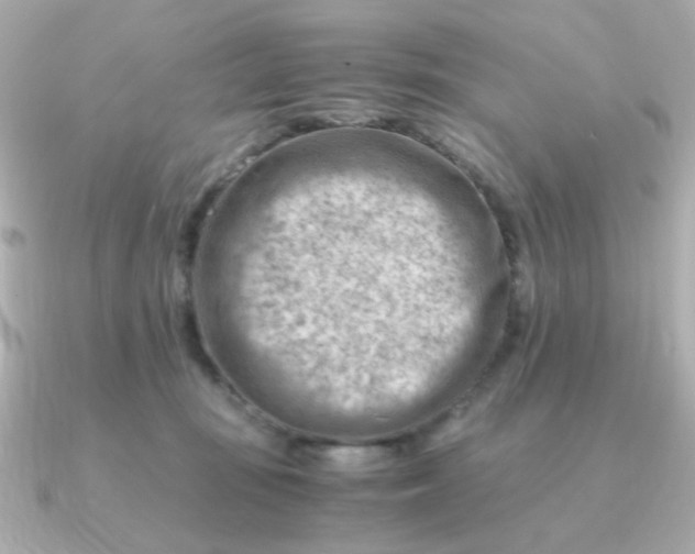 X0000090880371200708101349