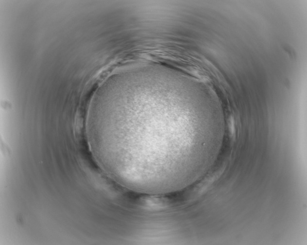 X0000090880372200708101349