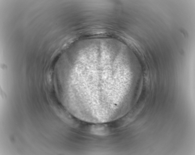 X0000090880373200708101349