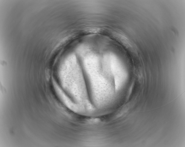 X0000090880374200708101349