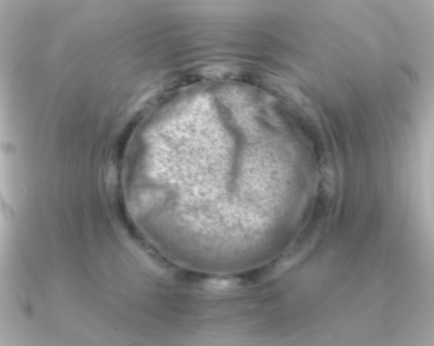 X0000090880375200708101349