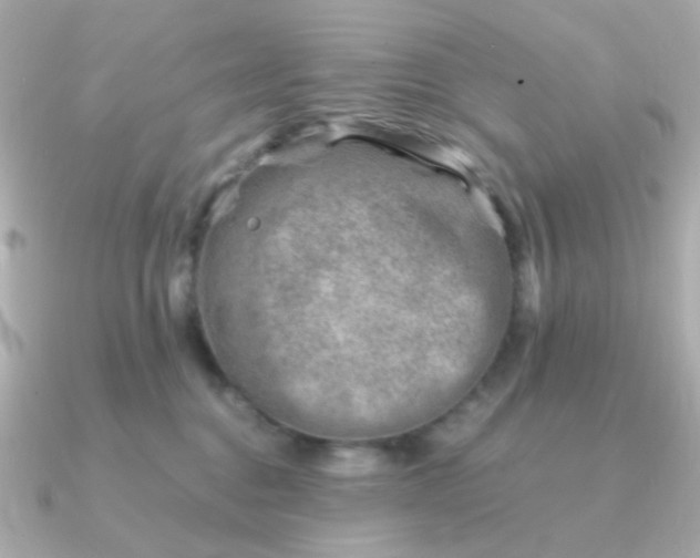 X0000090880376200708101349