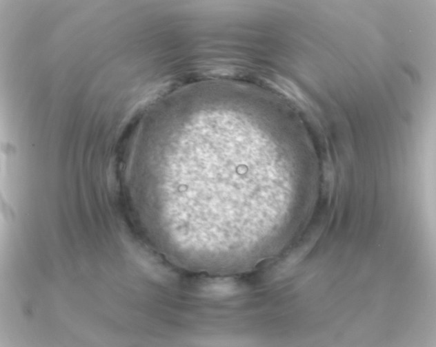 X0000090880377200708101349