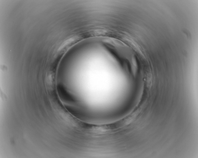 X0000090880378200708101349