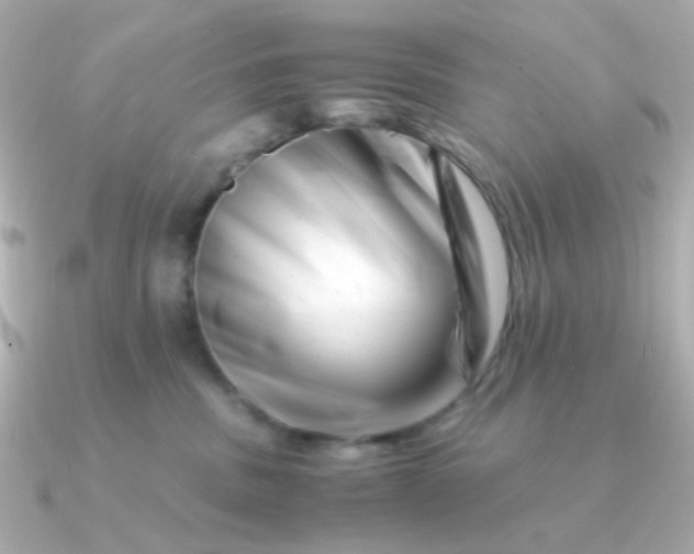 X0000090880379200708101349