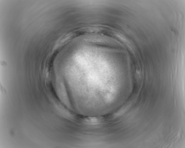 X0000090880381200708101349