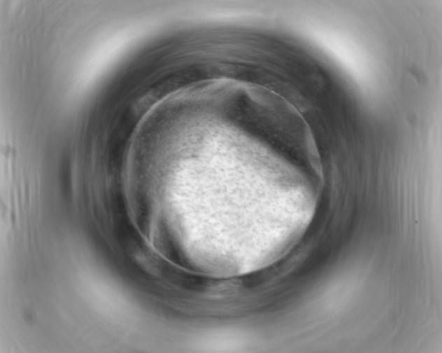 X0000090880382200708101349