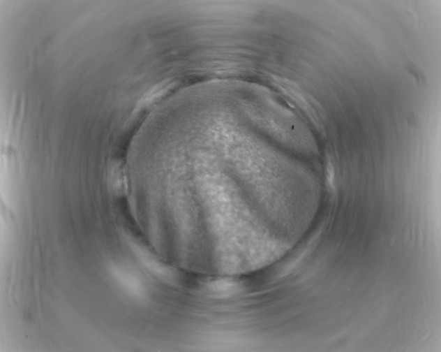 X0000090880383200708101349