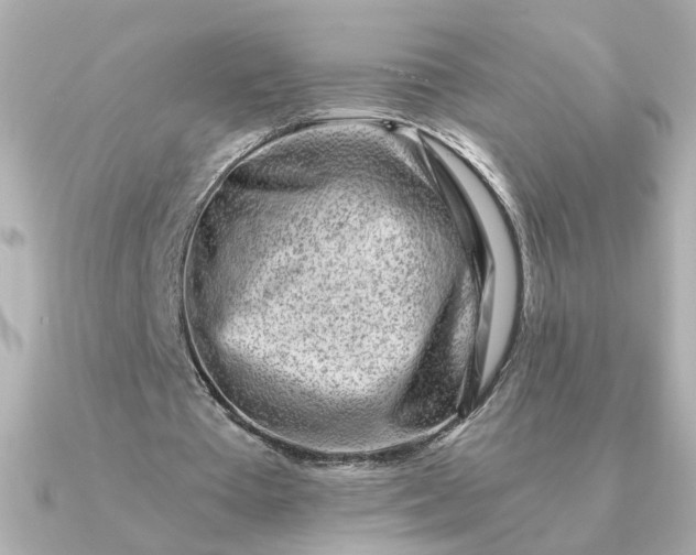 X0000090880385200708101348