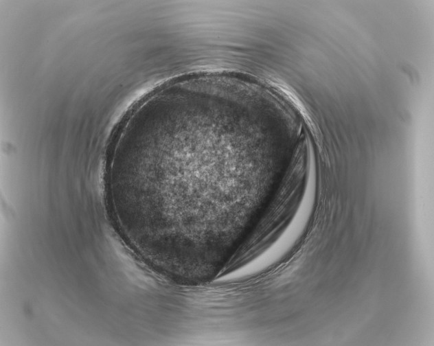 X0000090880387200708101348