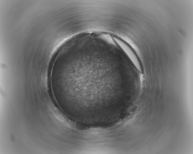 X0000090880391200708101348