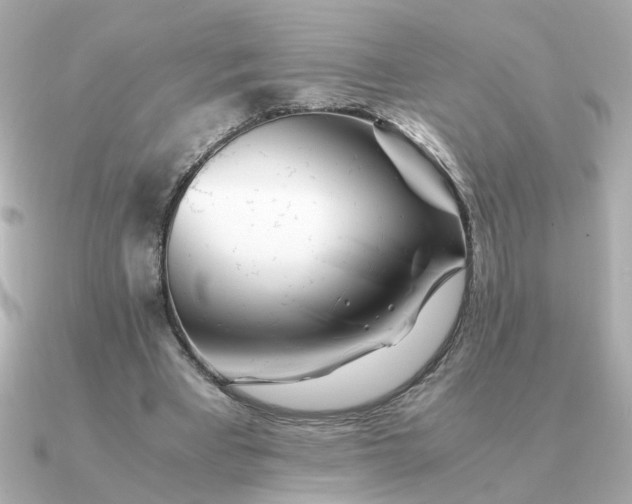 X0000090880393200708101348