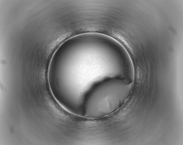 X0000090880394200708101348