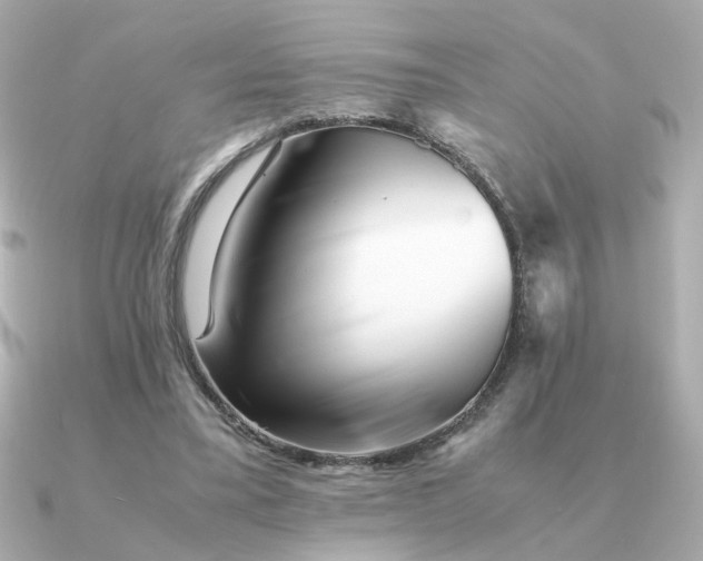 X0000090880395200708101348