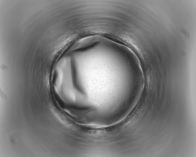 X0000090880398200708101348