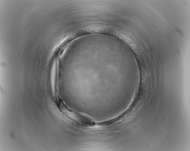 X0000090880399200708101348