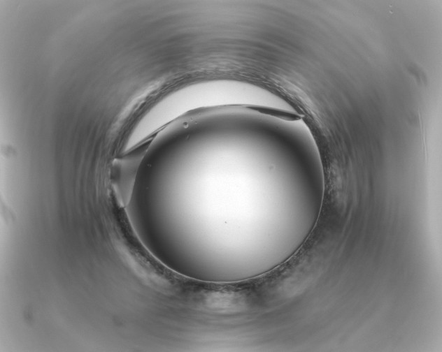 X0000090880400200708101348