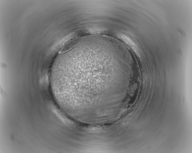 X0000090880405200708101348