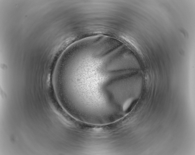 X0000090880406200708101348