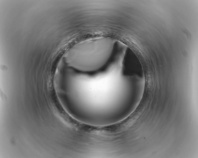 X0000090880408200708101348