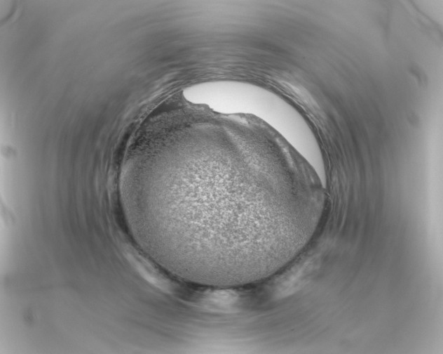 X0000090880409200708101348