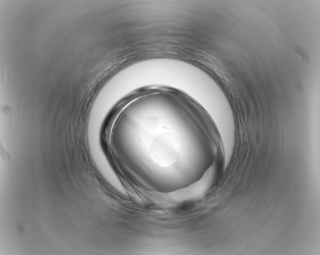 X0000090880411200708101348