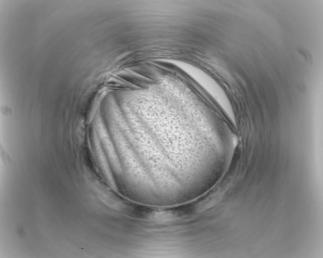 X0000090880413200708101348